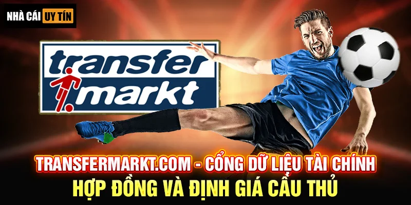 Tiêu Chí Lựa Chọn Nguồn Dữ Liệu Soi Cầu Uy Tín